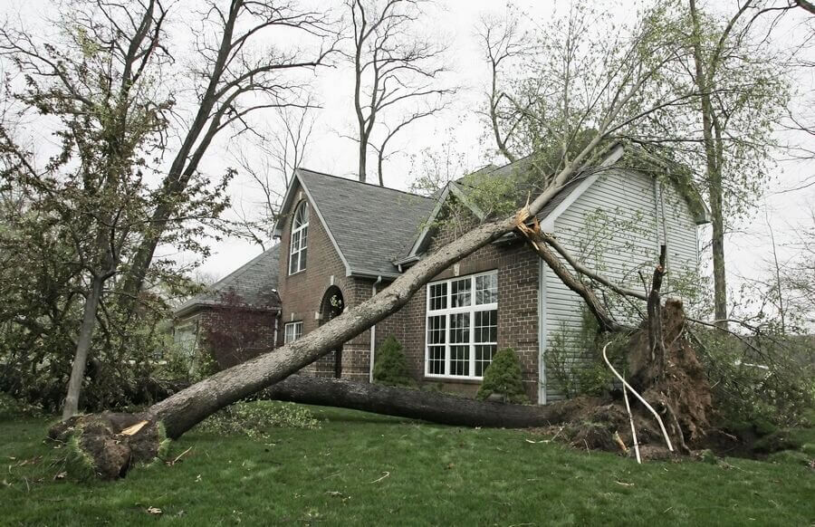 Vancouver wind damage restoration services in Vancouver Washington Tree and debris cleanup.