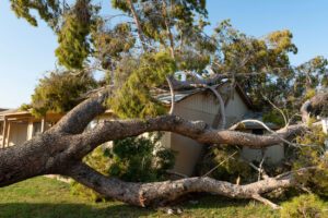 Storm-Proofing 101: Essential Home Safety Tips for Extreme Weather