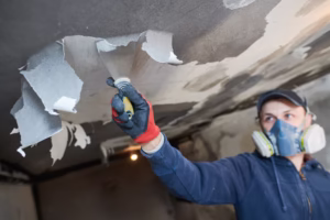 Home Restoration Near Me: Comprehensive Guide to Water Damage Restoration