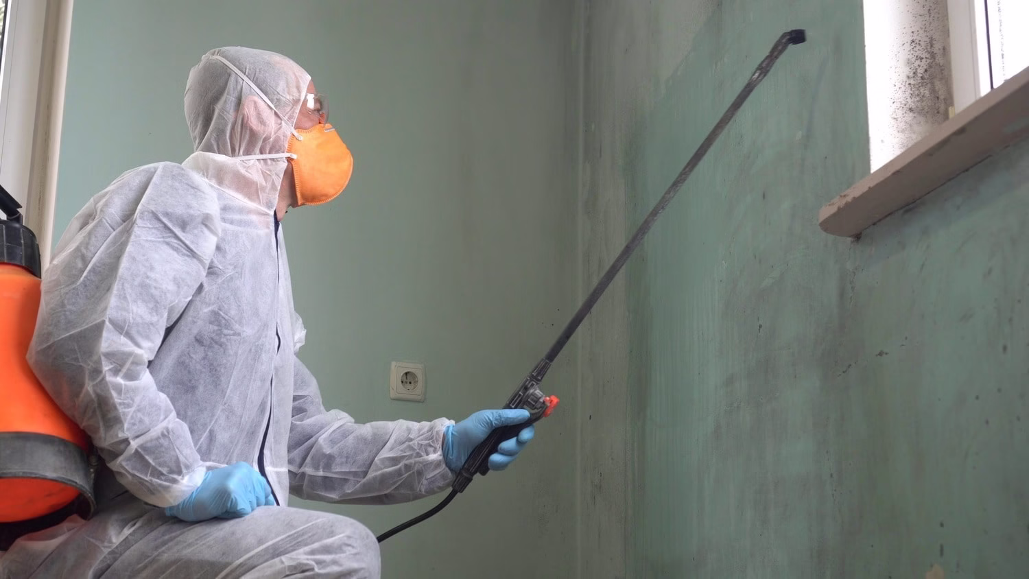 Home Restoration Near Me: Essential Guide to Mold Prevention and Remediation