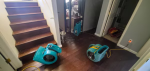 Emergency Water Damage Cleanup: What to Do Immediately to Protect Your Home and Health
