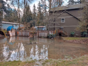 Water Damage Restoration Near Me: How Fast Response Protects Your Home