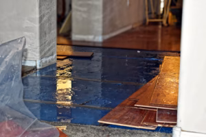 Water Damage Restoration: Signs Your Home May Have Hidden Water Damage