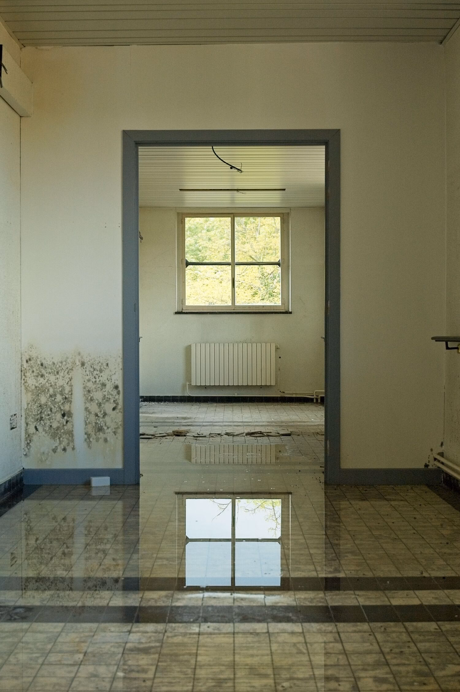 Emergency Water Damage in Camas, WA: Your First 24 Hours