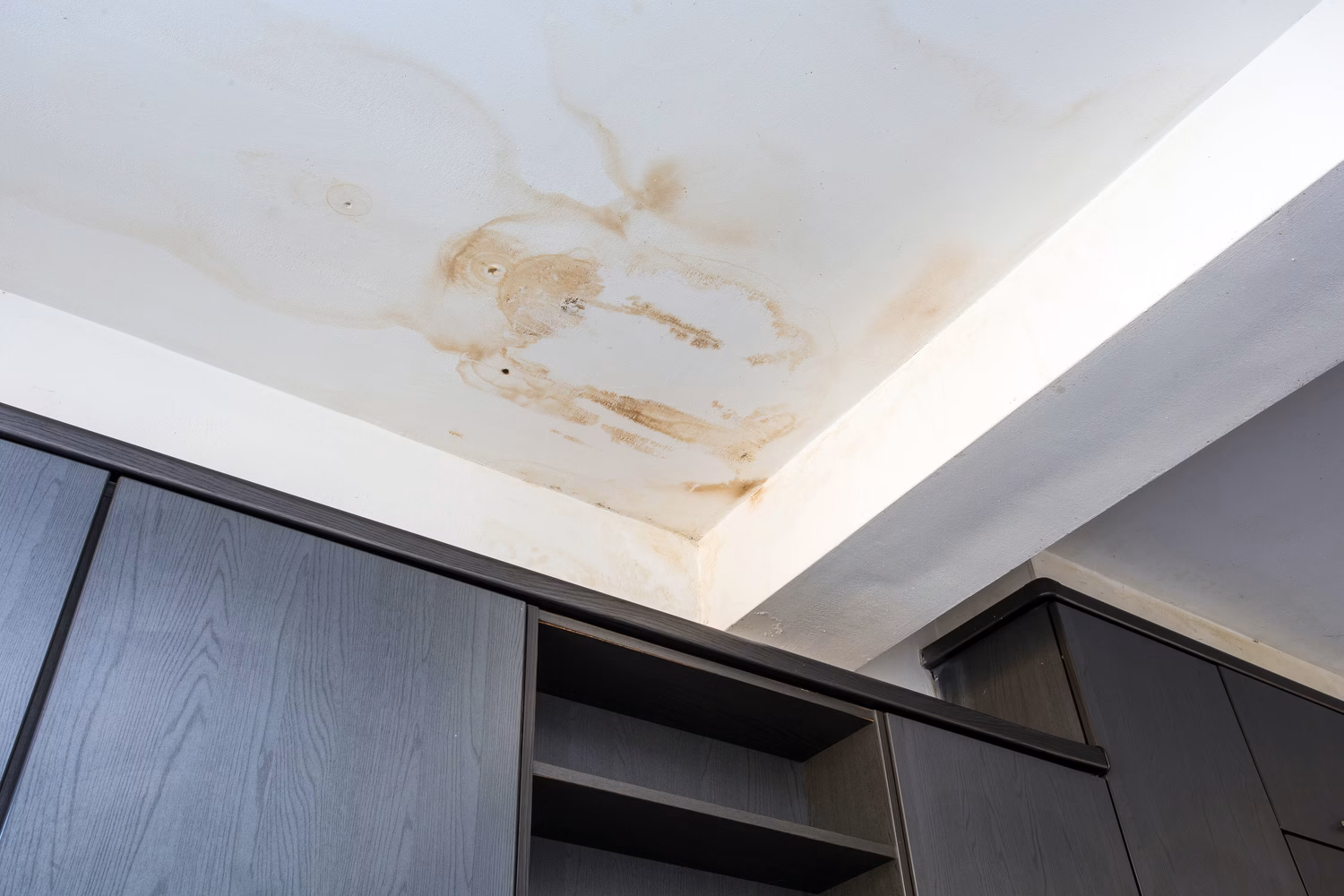 Brown water stains spreading across a kitchen ceiling from a leak above, an early sign of hidden water damage.